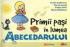 Primii pasi in lumea Abecedarului - Aurelia Arghirescu, Mirela Mihailescu, Florin Ancuta, Violeta Voicu