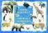 Ghid ilustrat - animale salbatice - 