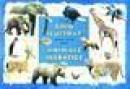 Ghid ilustrat - animale salbatice - 