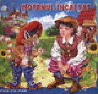 Motanul incaltat - 