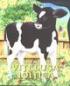 Vitelusa Joitica - 