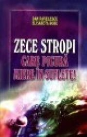 Zece stropi care picura miere in suflete! - Dan Pavelescu, Elisabeta Robu