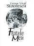 Fratele meu - George Virgil Stoenescu