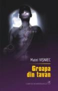 Groapa din tavan - Matei Visniec