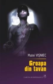 Groapa din tavan - Matei Visniec