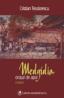 Medgidia, orasul de apoi - Cristian Teodorescu