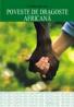 Poveste de dragoste africana - Caitlin Davies