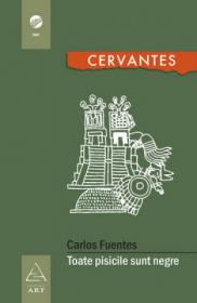 Toate pisicile sunt negre - Carlos Fuentes