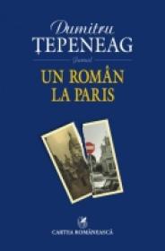 Un roman la Paris - Dumitru Tepeneag