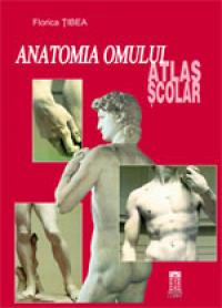 Anatomia omului. Atlas scoar (necartonat)  - Florica Tibea