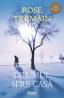 Drumul spre casa  - Rose Tremain