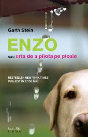 Enzo sau arta de a pilota pe ploaie  - Garth Stein