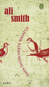 Fata intalneste baiatul  - Ali Smith