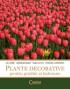 Plante decorative pentru gradini si balcoane  - A. Sarbu, G. Mohan, M. Catana, P. Comanescu