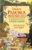 Dincolo de padurea intunecata - Paul Stewart, Chris Riddell