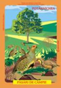 PASARI DIN FAUNA ROMANIEI CARE TRAIESC LA CAMPIE - Istina Mirescu, Olivia Campean