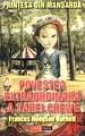 Printesa din mansarda - povestea extraordinara a Sarei Grewe - Frances Hodgson Burnett