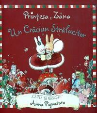 Printesa si Zana - Un craciun stralucitor - Anna Pignataro