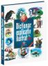 Dictionar explicativ ilustrat pentru clasele I - IV - 
