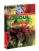 Ghidul alimentelor sanatoase - editie color - Michael Van Straten
