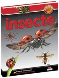 Insecte - Helen Flint