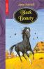 Black Beauty  - Anna Sewell