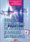 Exercitii si probleme de algebra si analiza matematica cls. a XI-a - Maftei I. V. , Chirila Constantin , Nicolescu Catalin Petru , Haivas (coordonator) Mihai