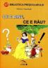 Ce e bine, ce e rau - Tatiana Tapalaga
