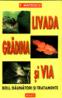 Livada, gradina si via - Boli, daunatori si tratamente - F. Mateescu