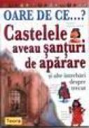 Oare de ce castelele aveau santuri de aparare - Philip Steele