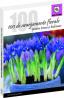 100 de aranjamente florale pentru terase si balcoane - 