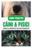 Caini & Pisici - 