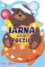 Iarna ca o poezie - Florentina Chifu