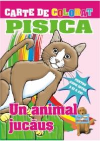 Pisica - 