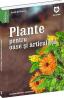 Plante pentru oase si articulatii - David Hoffman