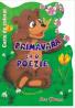 Primavara ca o poezie - Florentina Chifu