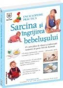 Sarcina si ingrijirea bebelusului - Enciclopedie practica - Alison Mackonochie