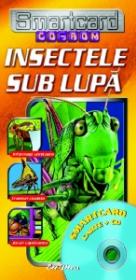 Smartcard - Insectele sub lupa - 