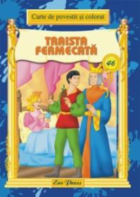 Traista fermecata - Pavel Bujitar