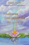 Vindecarea sentimentelor... din inima ta - Karol K. Truman