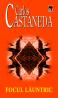 Focul launtric - Carlos Castaneda