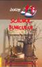 Scaunul bunicului - Nathaniel Hawthorne