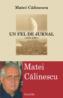 Un fel de jurnal (1973-1981) - Matei Calinescu