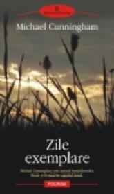 Zile exemplare - Michael Cunningham
