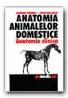 Anatomia Animalelor Domestice (anatomie Clinica) - PREDOI Gabriel, BELU Cristian
