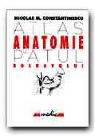 Atlas De Anatomie La Patul Bolnavului - CONSTANTINESCU Nicolae M.