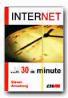 Internet     In 30 Minute - ARMSTRONG Steven, Trad. SLAVU Ovidiu