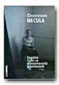Ispita Intr-o Dimineata Ploioasa - NECULA Damian