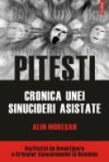 Pitesti. Cronica unei sinucideri asistate - Alin Muresan