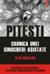 Pitesti. Cronica unei sinucideri asistate - Alin Muresan